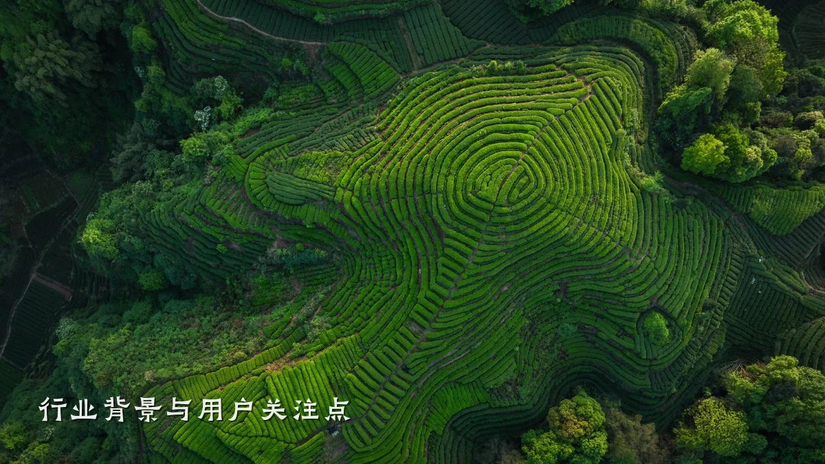 行业背景与用户关注点