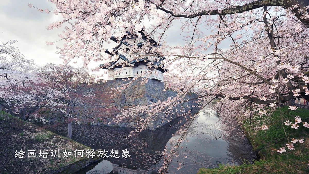 绘画培训如何释放想象