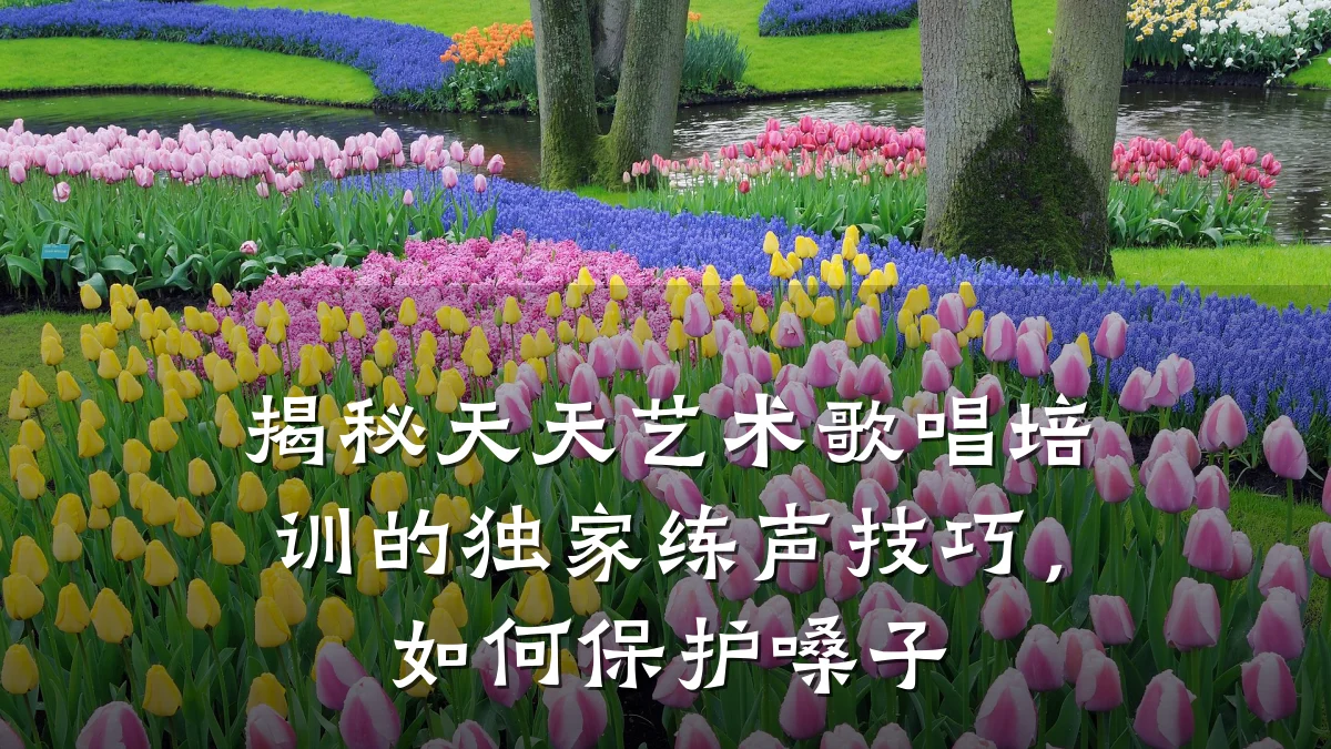 揭秘天天艺术歌唱培训的独家练声技巧，如何保护嗓子