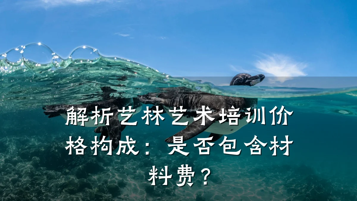 解析艺林艺术培训价格构成：是否包含材料费？
