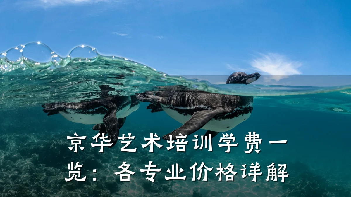京华艺术培训学费一览：各专业价格详解
