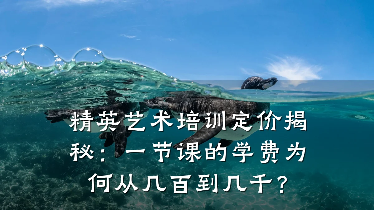 精英艺术培训定价揭秘：一节课的学费为何从几百到几千？