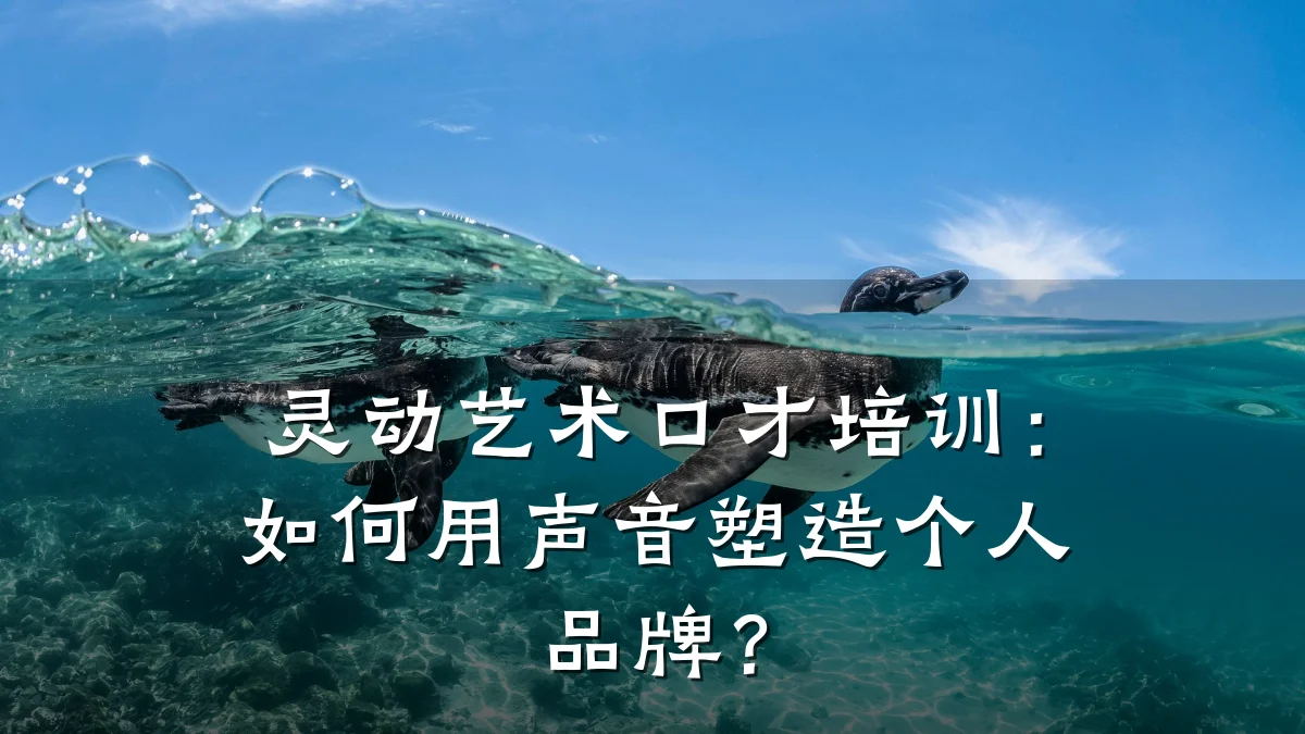 灵动艺术口才培训:如何用声音塑造个人品牌?
