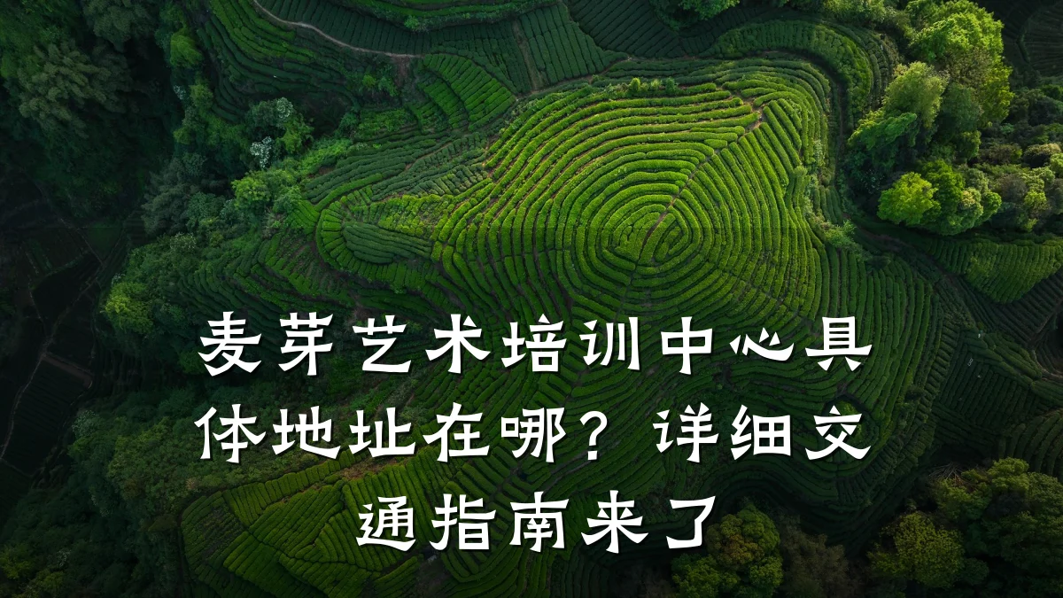 麦芽艺术培训中心具体地址在哪？详细交通指南来了