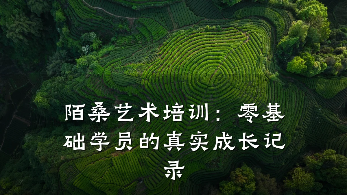 陌桑艺术培训:零基础学员的真实成长记录