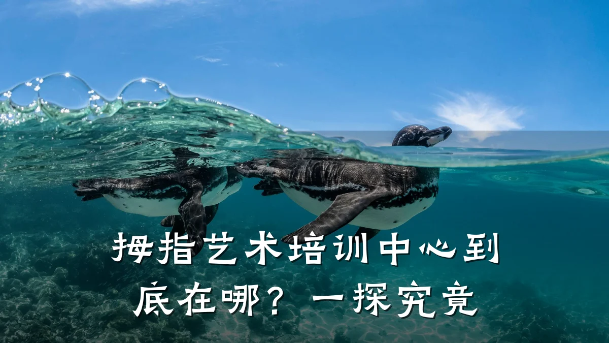 拇指艺术培训中心到底在哪？一探究竟