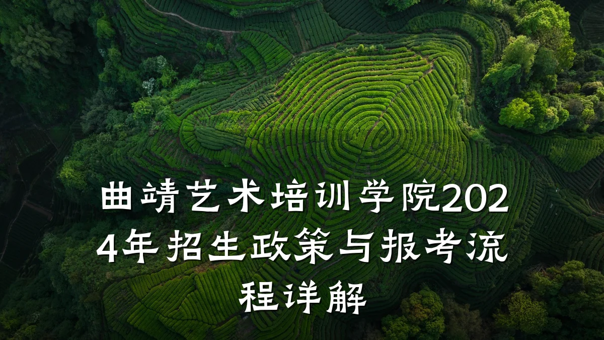 曲靖艺术培训学院2024年招生政策与报考流程详解