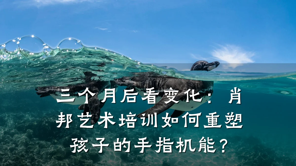 三个月后看变化：肖邦艺术培训如何重塑孩子的手指机能？