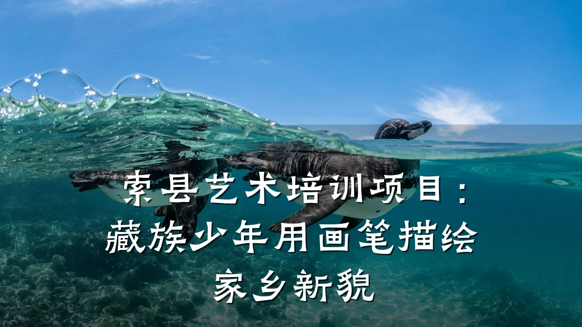 索县艺术培训项目：藏族少年用画笔描绘家乡新貌