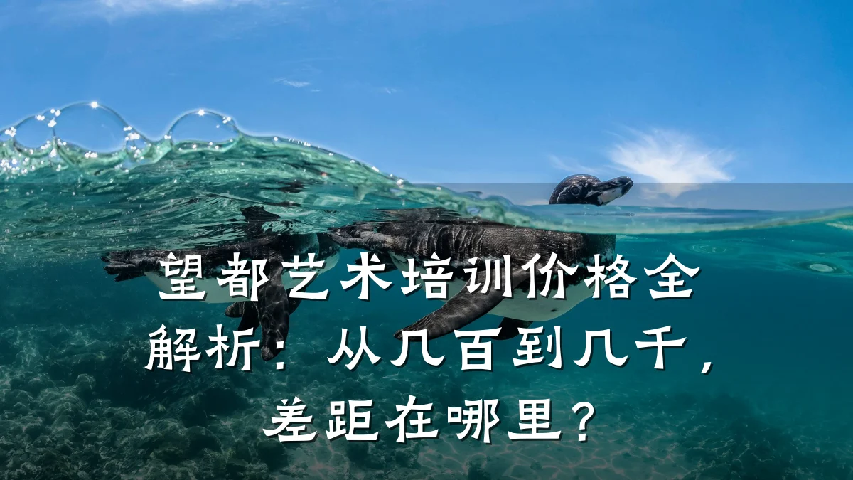 望都艺术培训价格全解析：从几百到几千，差距在哪里？