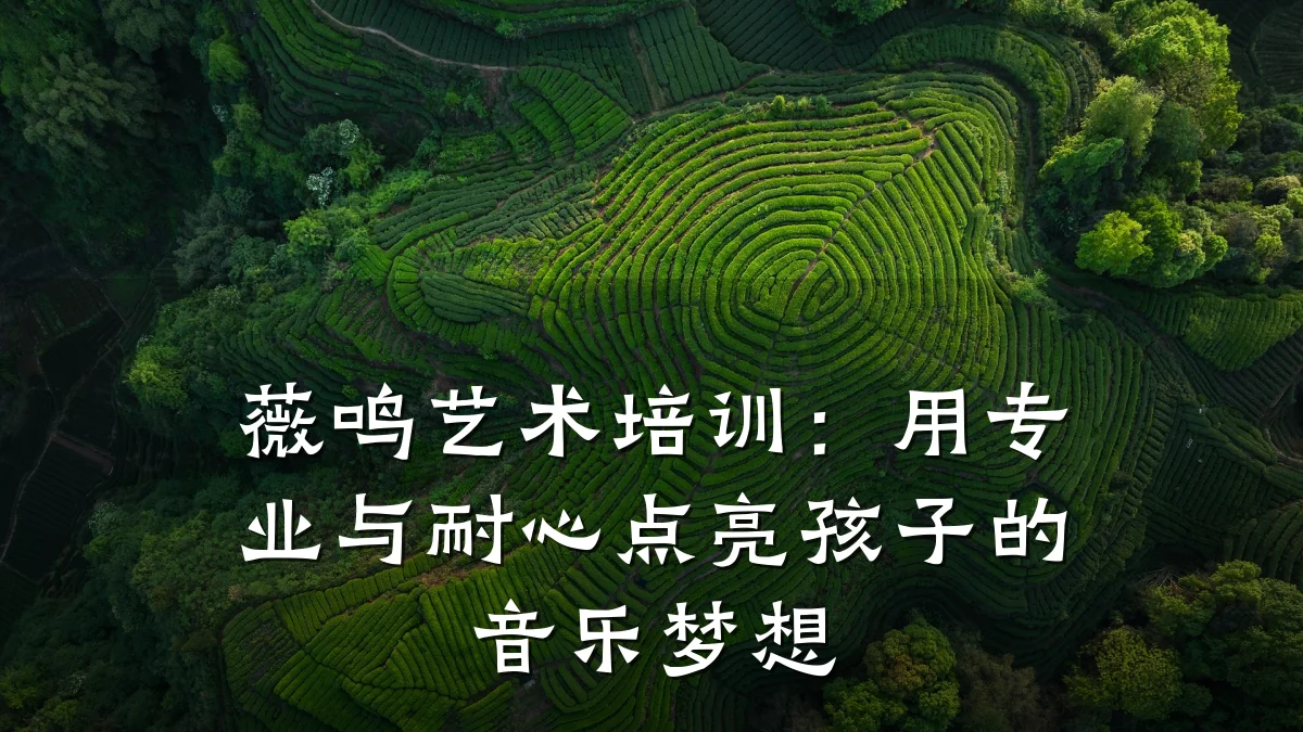 薇鸣艺术培训：用专业与耐心点亮孩子的音乐梦想