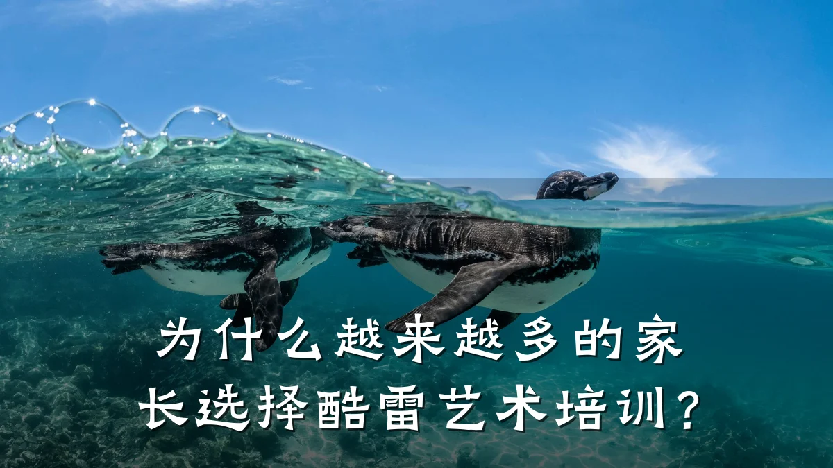 为什么越来越多的家长选择酷雷艺术培训？