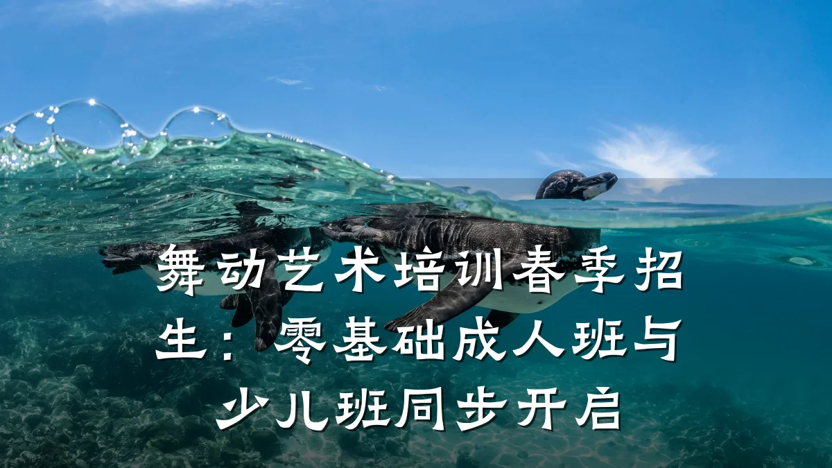 舞动艺术培训春季招生：零基础成人班与少儿班同步开启
