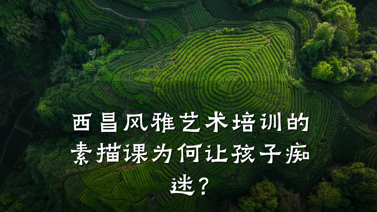西昌风雅艺术培训的素描课为何让孩子痴迷?