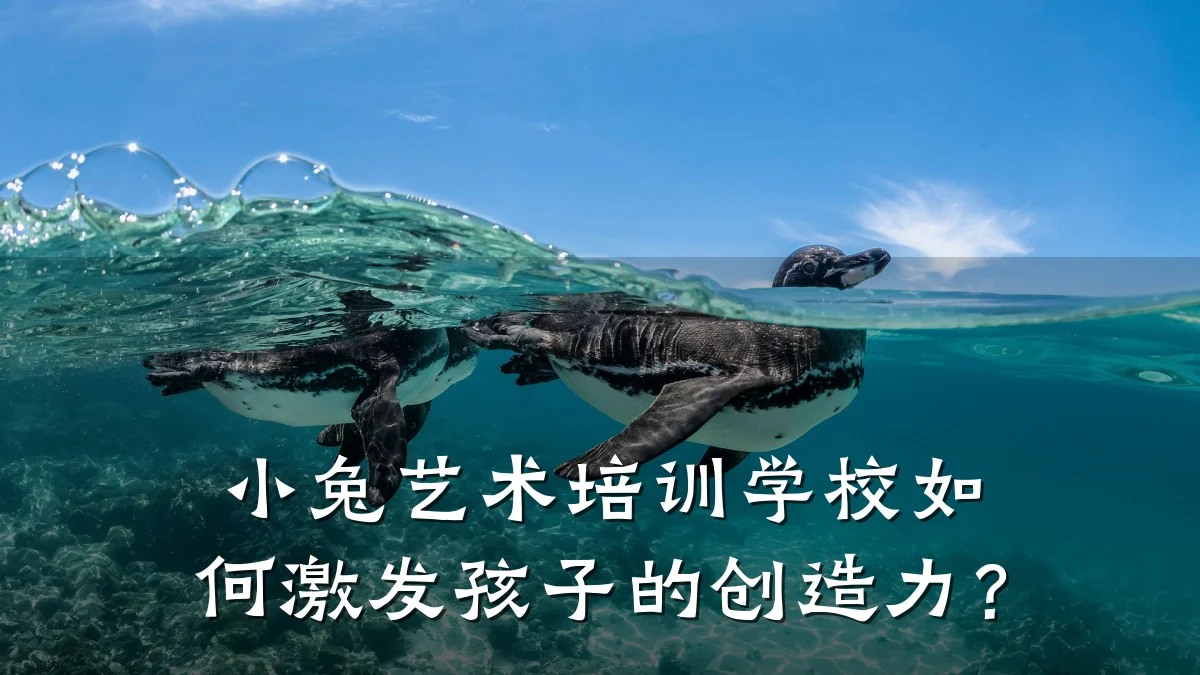 小兔艺术培训学校如何激发孩子的创造力?