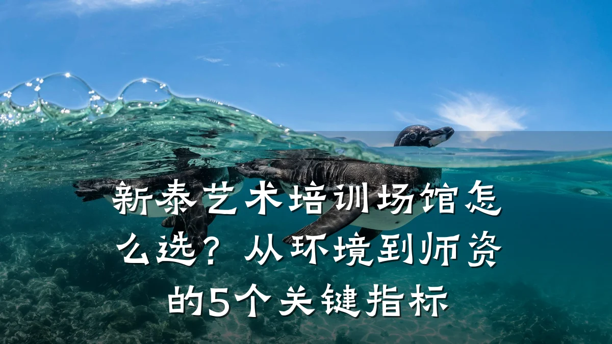 新泰艺术培训场馆怎么选？从环境到师资的5个关键指标