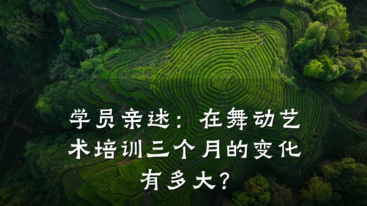 学员亲述：在舞动艺术培训三个月的变化有多大？