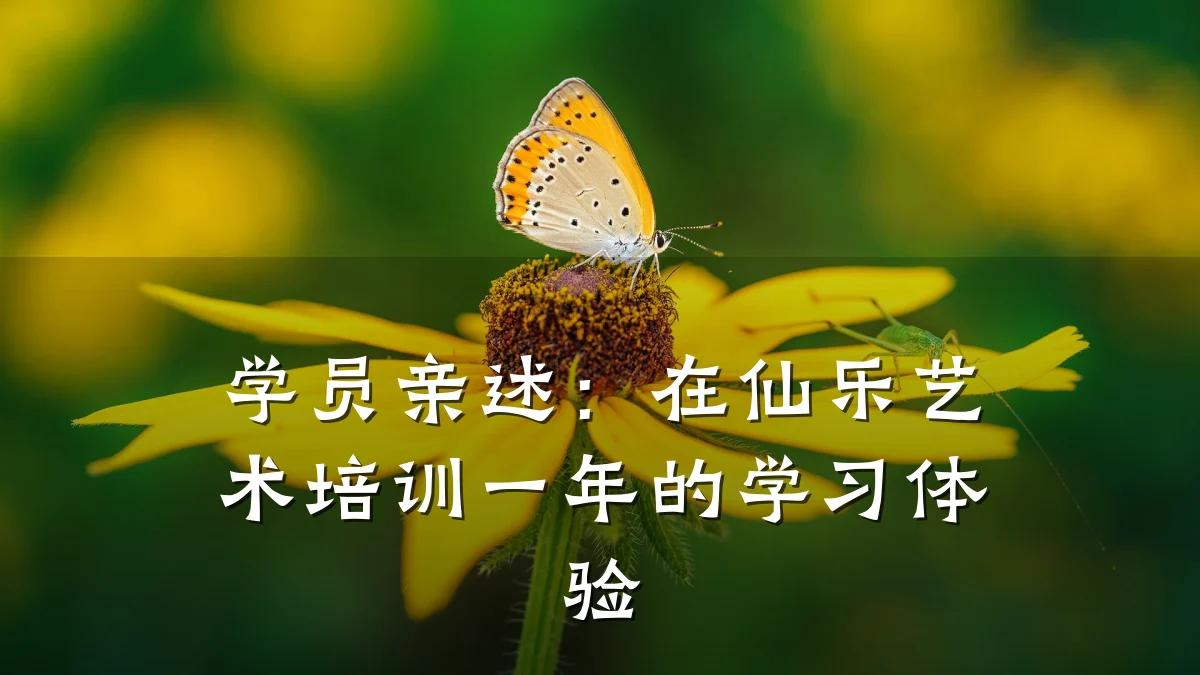 学员亲述：在仙乐艺术培训一年的学习体验