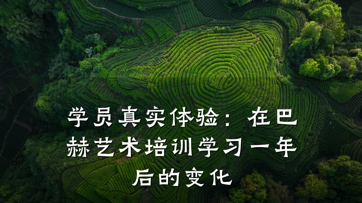 学员真实体验：在巴赫艺术培训学习一年后的变化