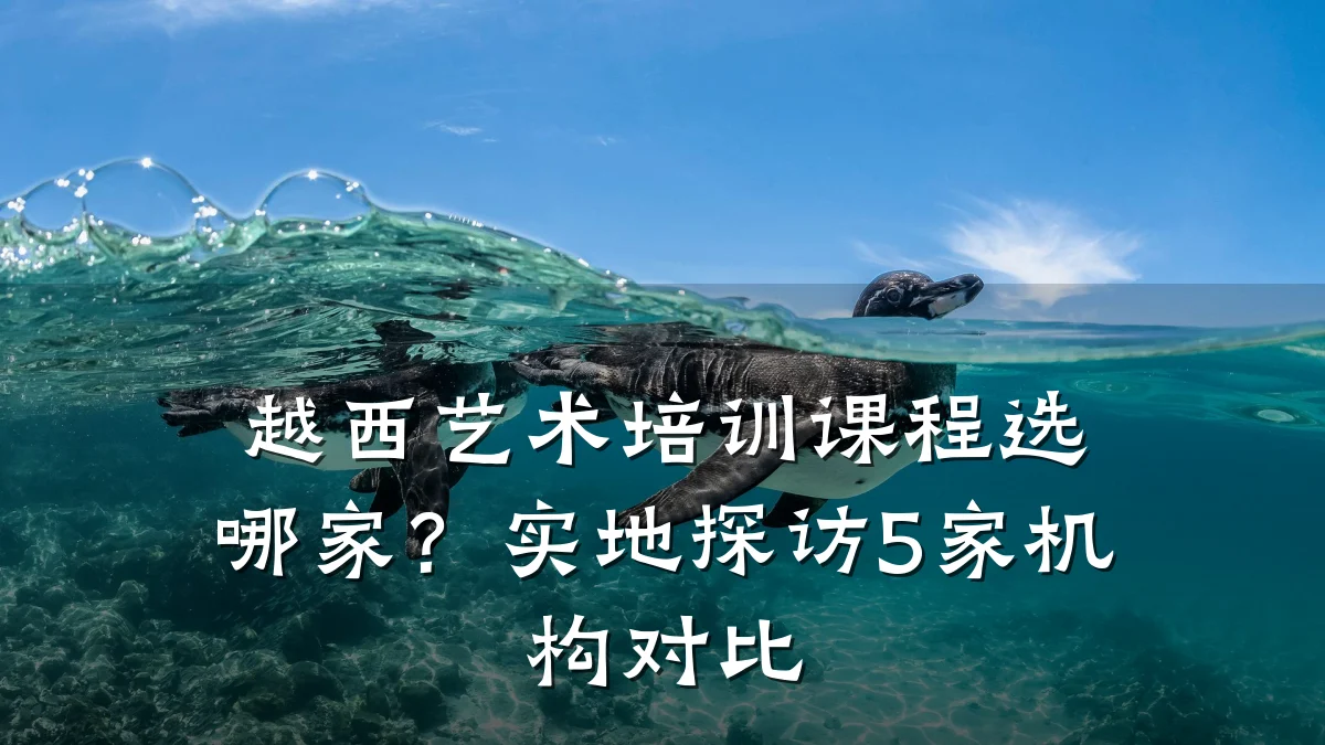 越西艺术培训课程选哪家？实地探访5家机构对比