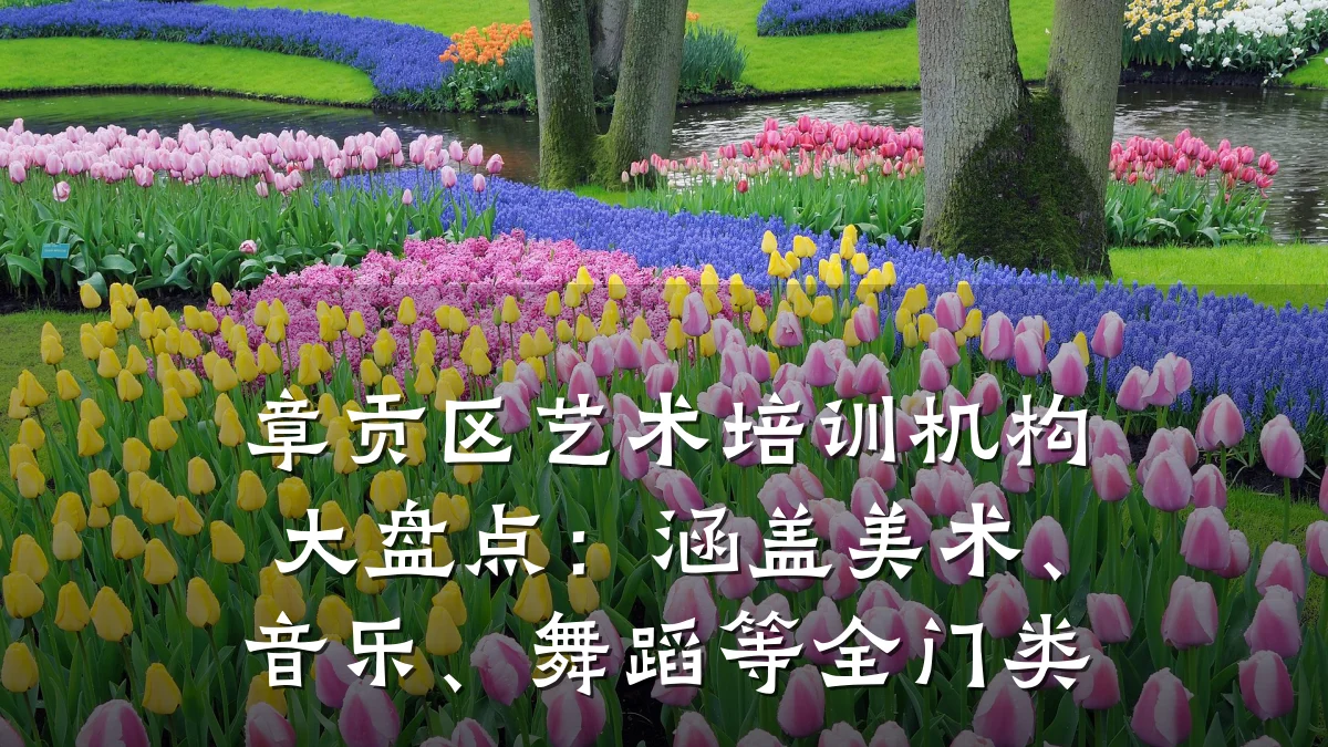 章贡区艺术培训机构大盘点：涵盖美术、音乐、舞蹈等全门类