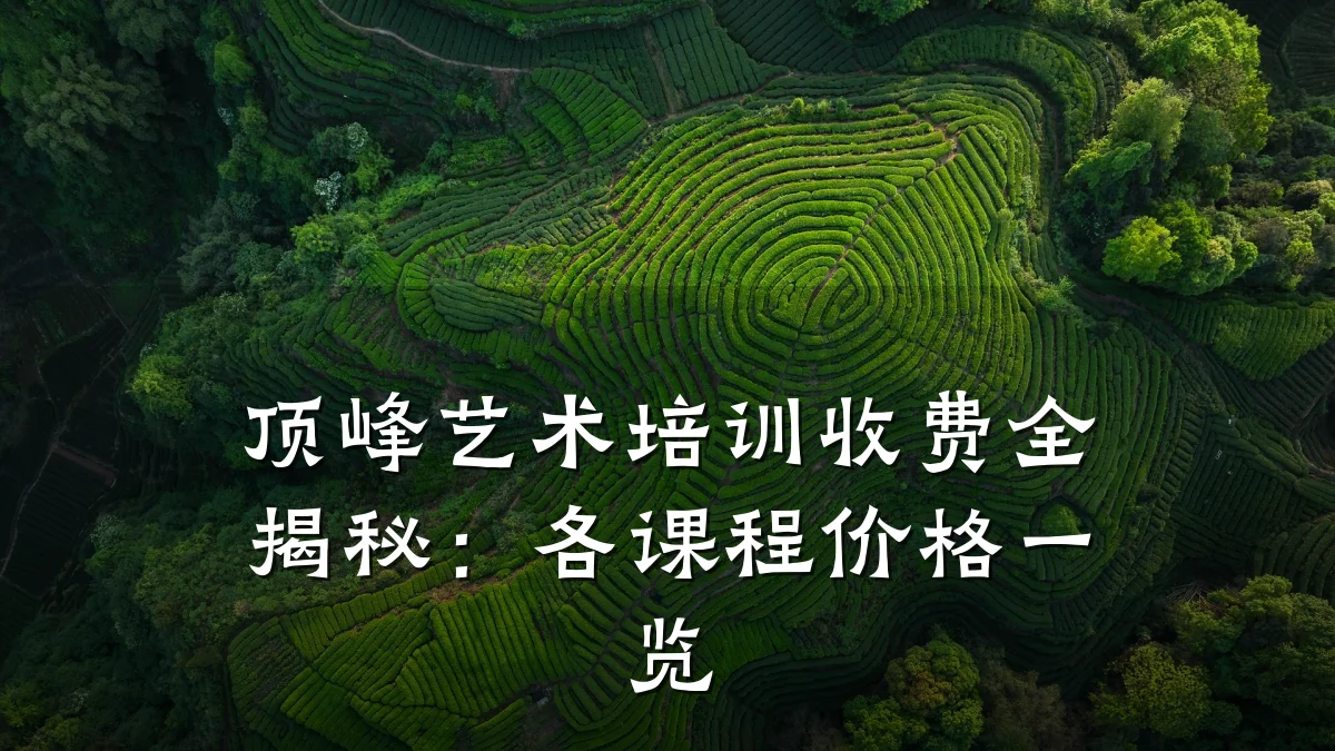 顶峰艺术培训收费全揭秘：各课程价格一览