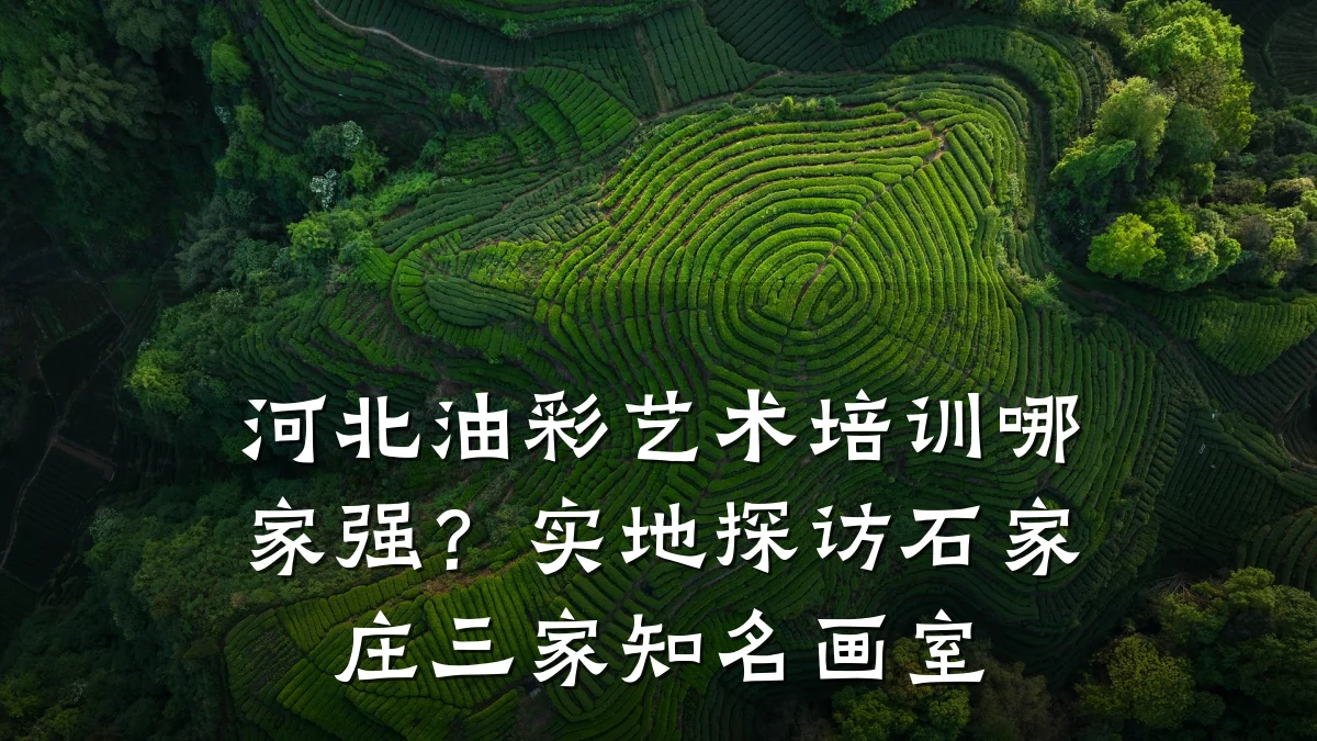 河北油彩艺术培训哪家强？实地探访石家庄三家知名画室