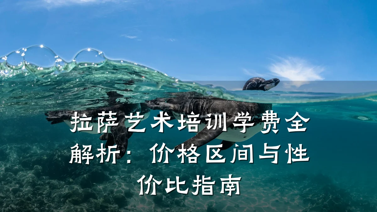 拉萨艺术培训学费全解析：价格区间与性价比指南