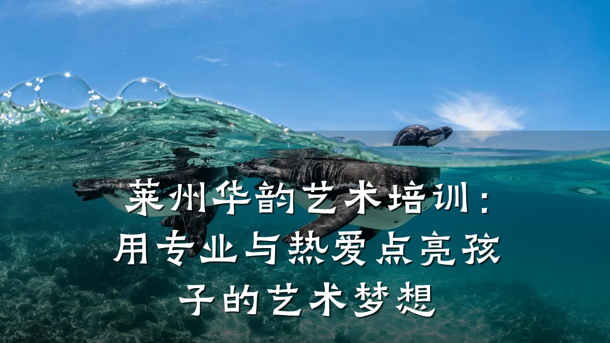 莱州华韵艺术培训：用专业与热爱点亮孩子的艺术梦想