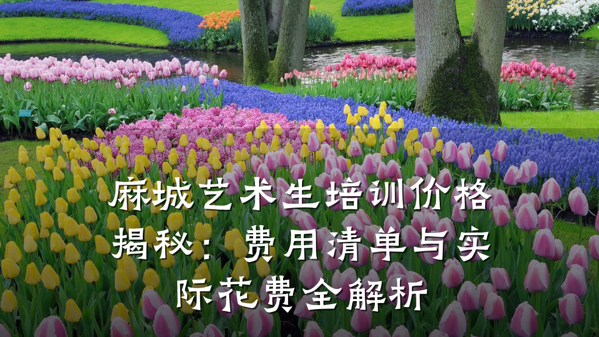 麻城艺术生培训价格揭秘：费用清单与实际花费全解析