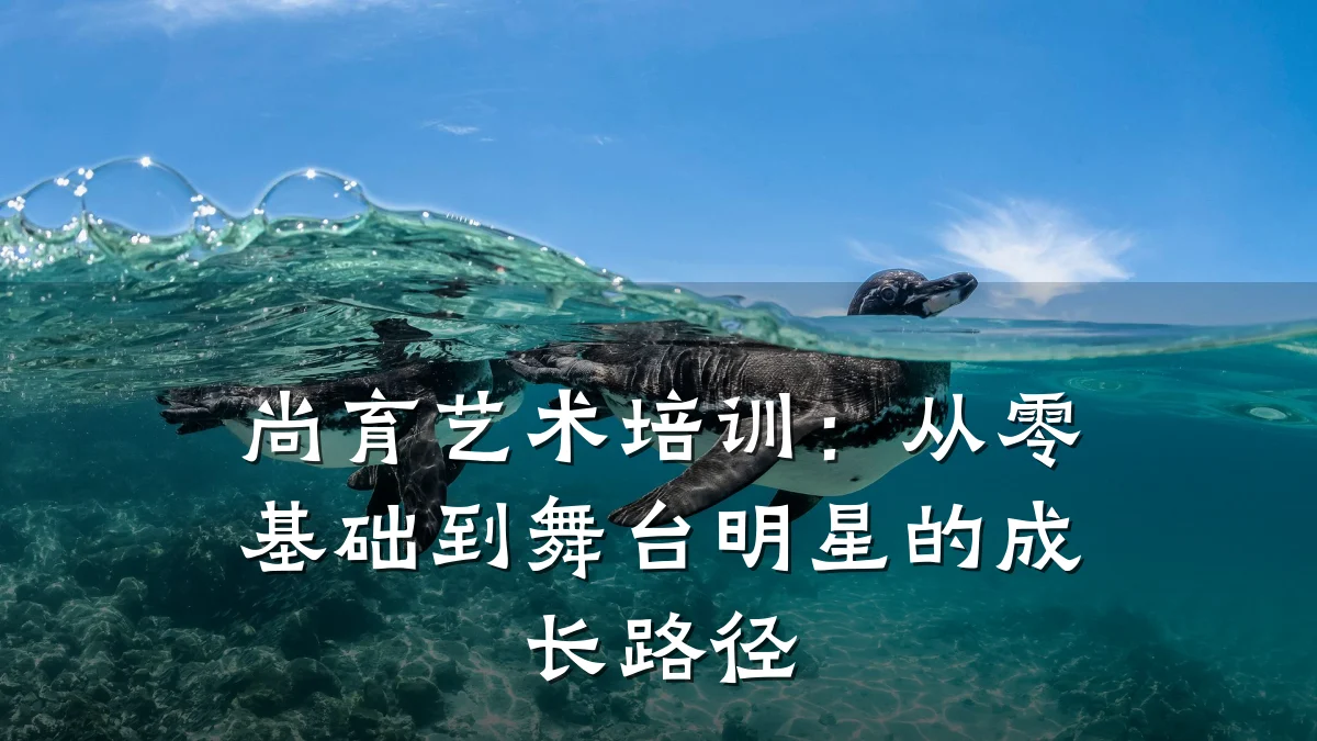 尚育艺术培训:从零基础到舞台明星的成长路径