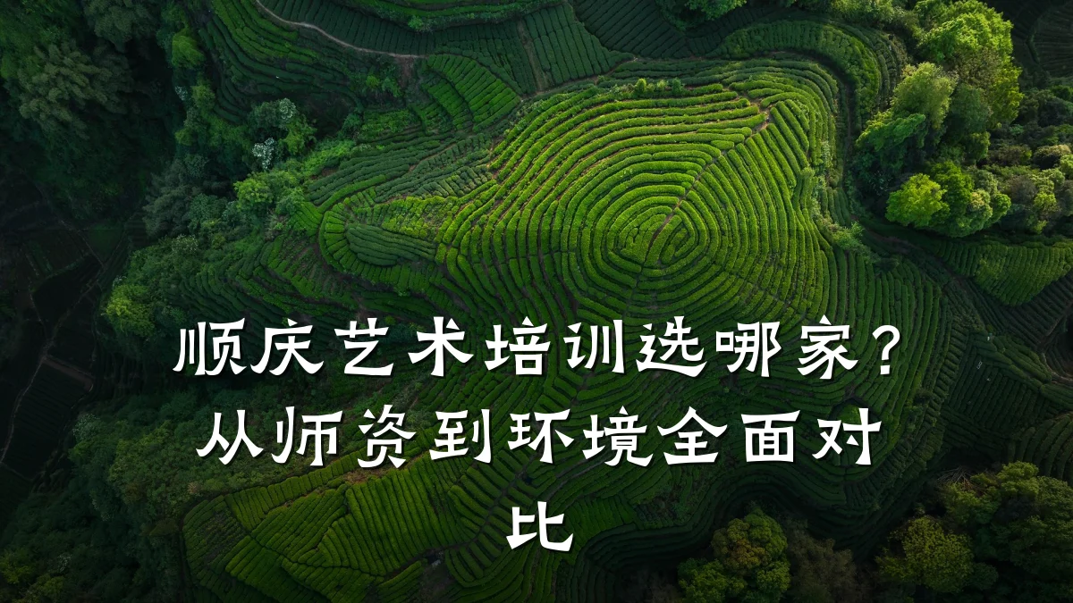 顺庆艺术培训选哪家？从师资到环境全面对比