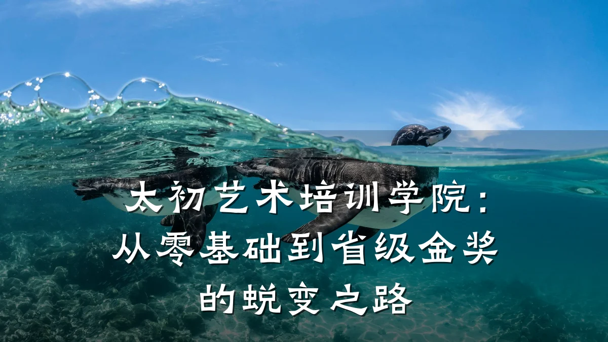 太初艺术培训学院：从零基础到省级金奖的蜕变之路