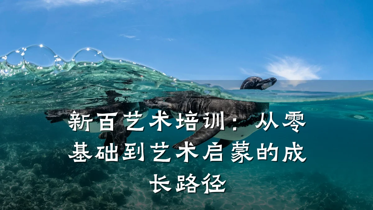新百艺术培训：从零基础到艺术启蒙的成长路径