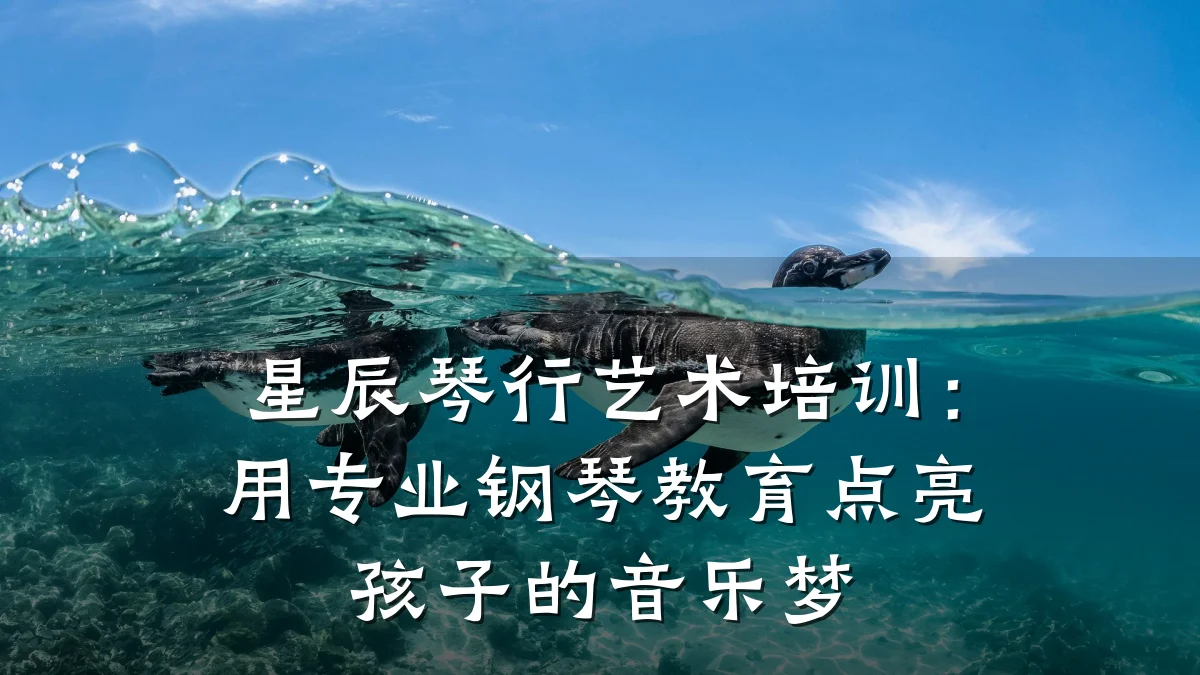 星辰琴行艺术培训：用专业钢琴教育点亮孩子的音乐梦