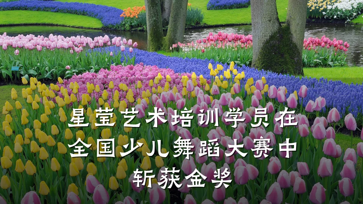 星莹艺术培训学员在全国少儿舞蹈大赛中斩获金奖