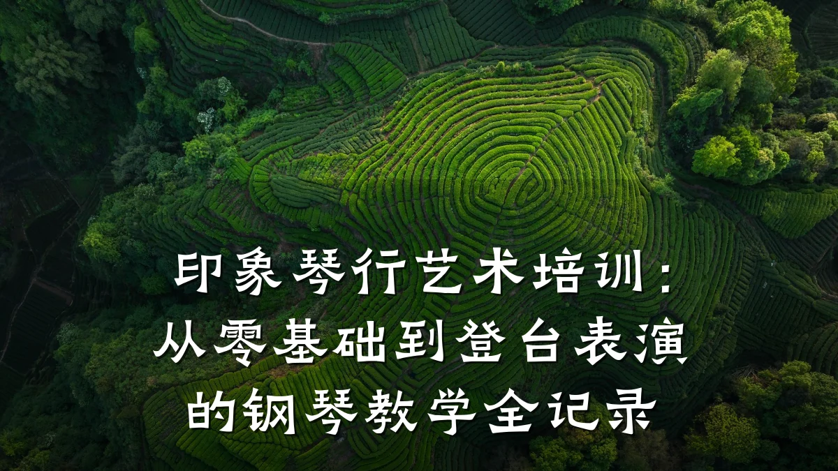 印象琴行艺术培训：从零基础到登台表演的钢琴教学全记录