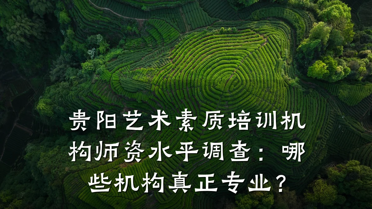 贵阳艺术素质培训机构师资水平调查：哪些机构真正专业？