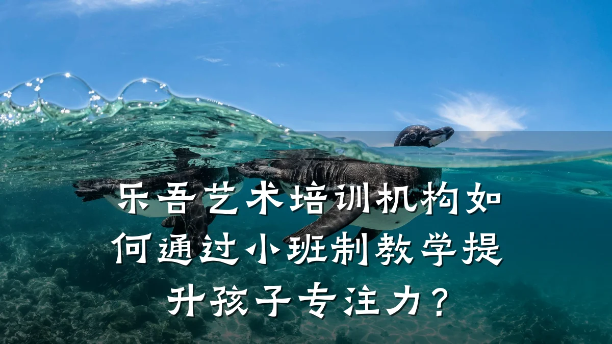 乐吾艺术培训机构如何通过小班制教学提升孩子专注力？