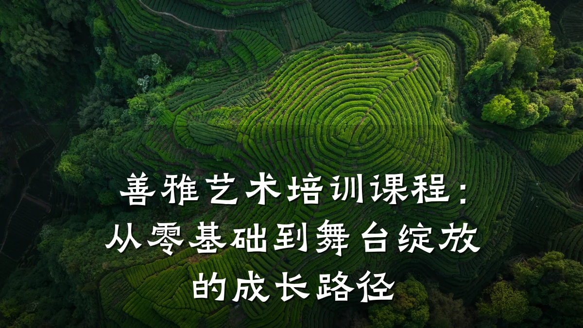 善雅艺术培训课程：从零基础到舞台绽放的成长路径