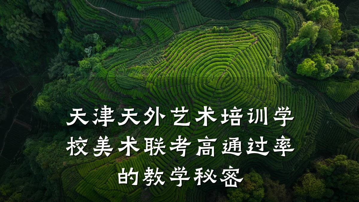 天津天外艺术培训学校美术联考高通过率的教学秘密