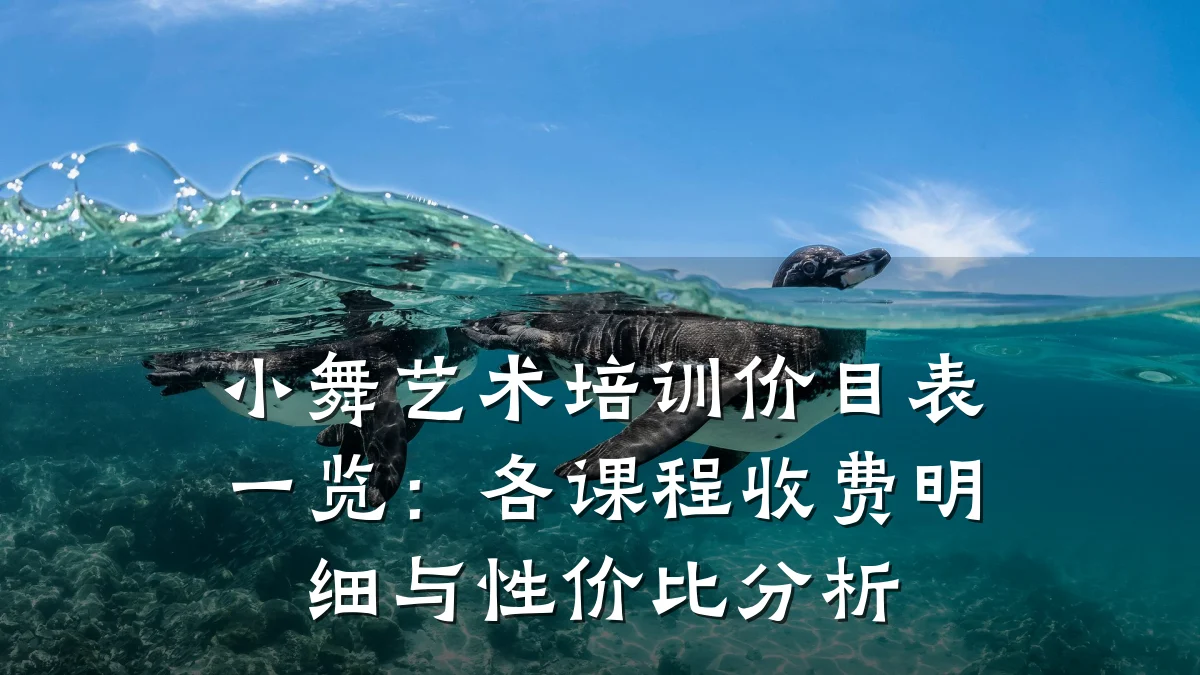 小舞艺术培训价目表一览：各课程收费明细与性价比分析