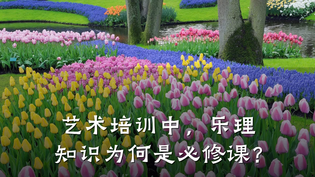 艺术培训中，乐理知识为何是必修课？