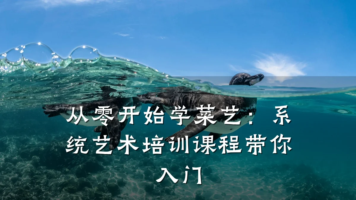 从零开始学菜艺：系统艺术培训课程带你入门