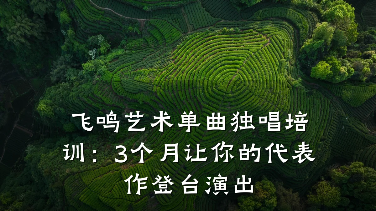 飞鸣艺术单曲独唱培训：3个月让你的代表作登台演出