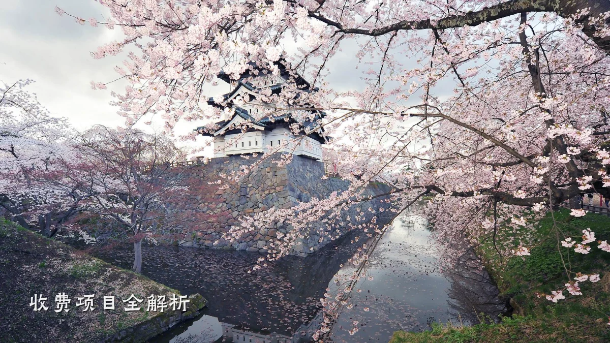 收费项目全解析