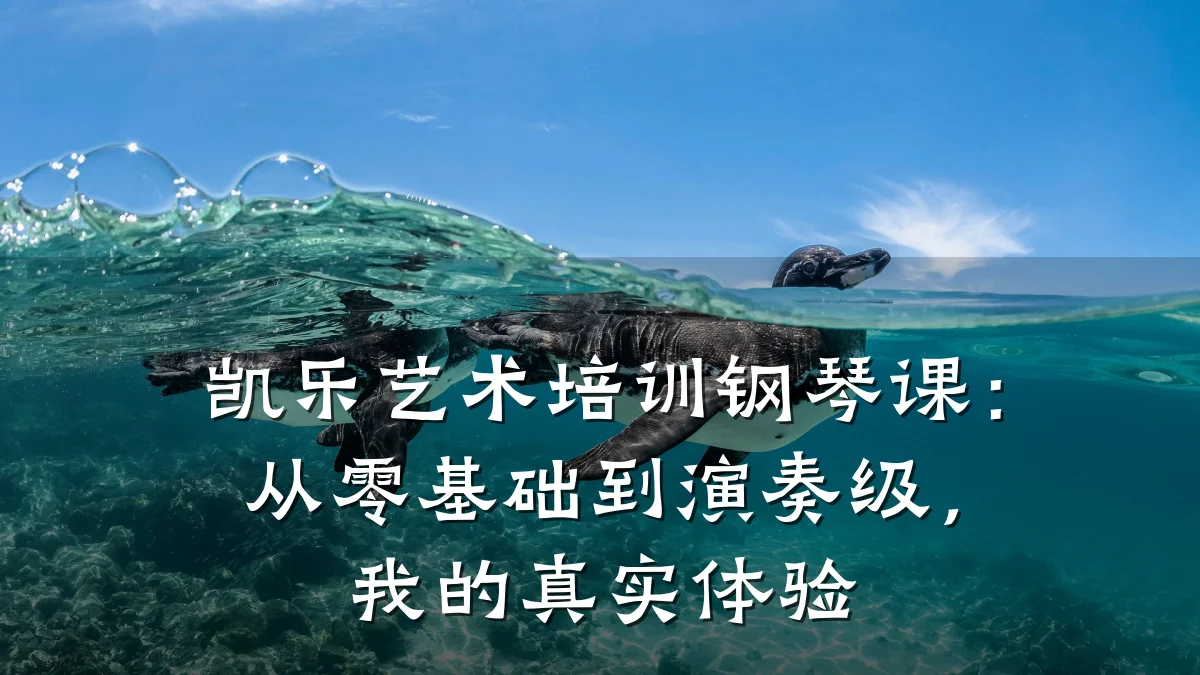 凯乐艺术培训钢琴课：从零基础到演奏级，我的真实体验