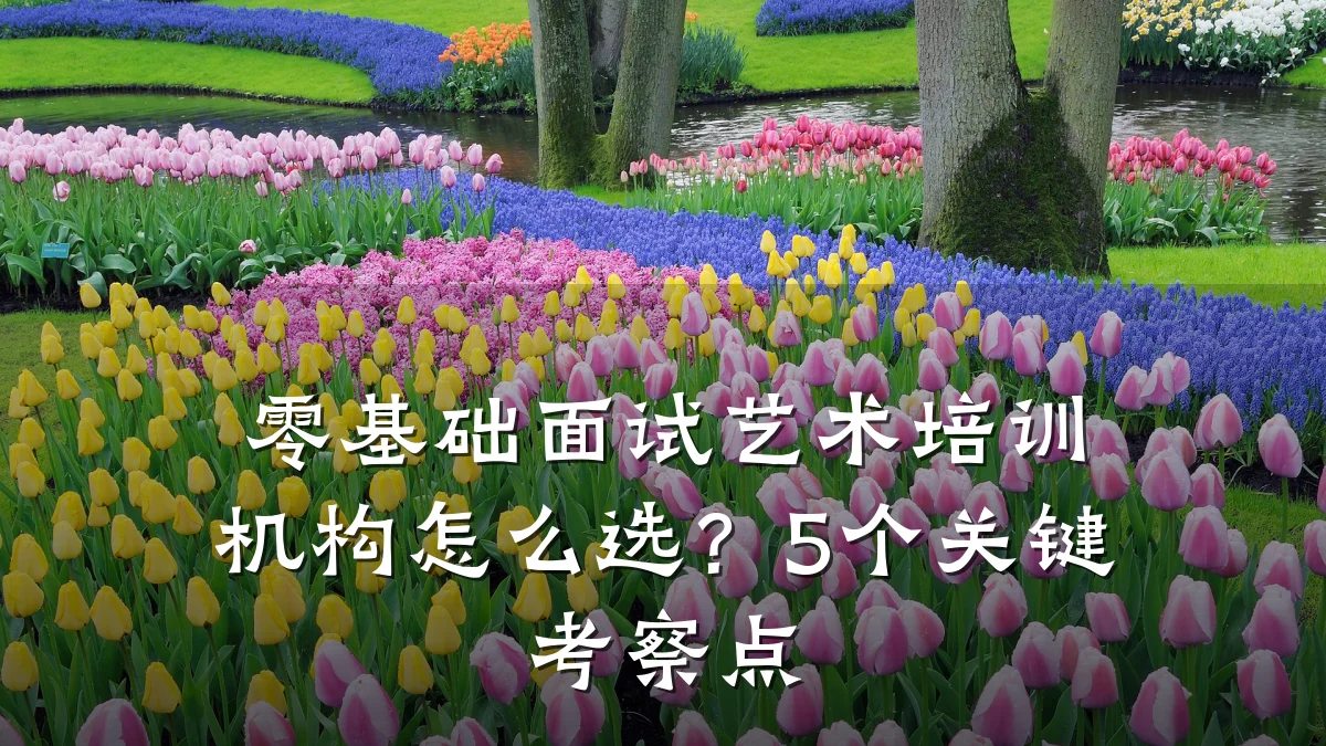 零基础面试艺术培训机构怎么选？5个关键考察点
