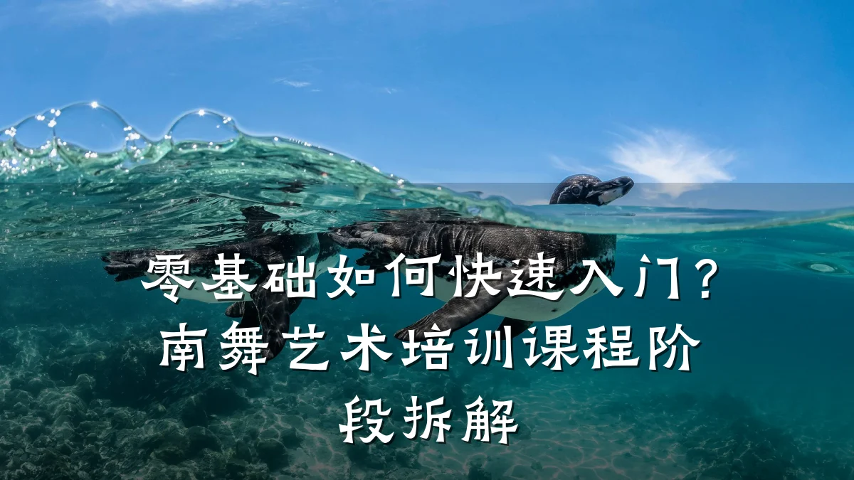 零基础如何快速入门？南舞艺术培训课程阶段拆解