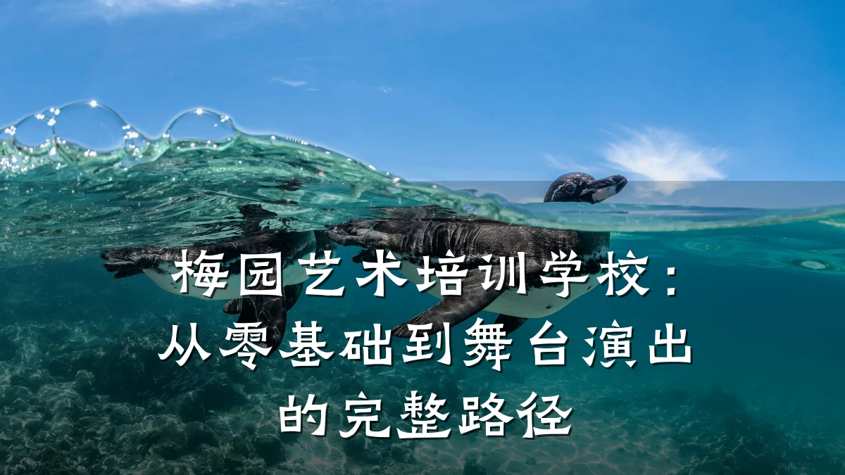 梅园艺术培训学校：从零基础到舞台演出的完整路径